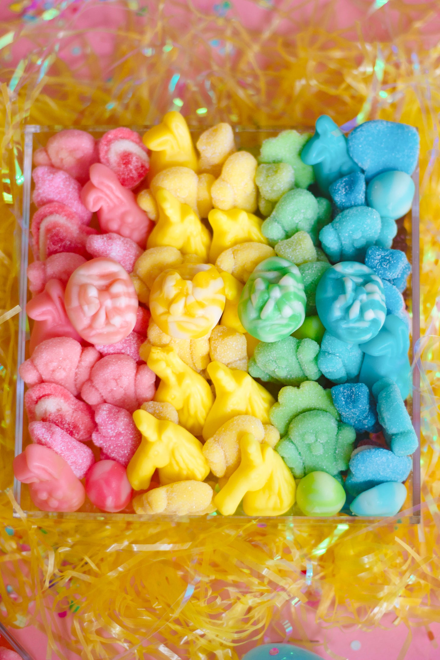 Gummy Tray: Pastel Rainbow